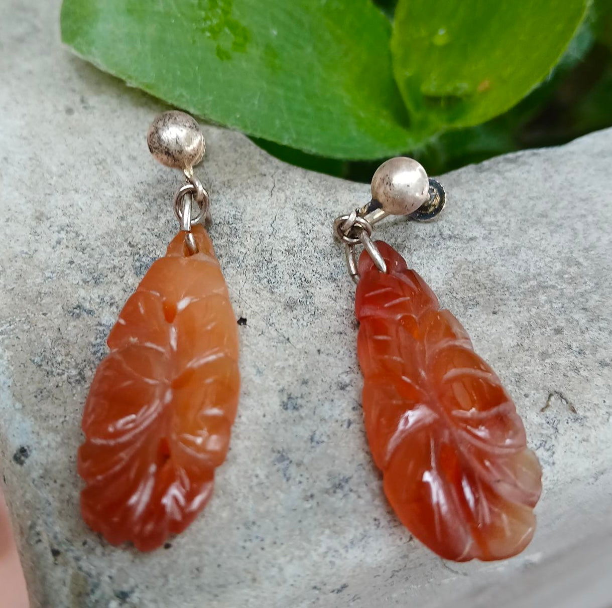 One pair of Vintage Art Nouveau Hand-Carved Carnelian Earrings with Sterling Silver Screw Backs